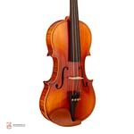ویولن فونیکس مدل OVP206 B سایز1/4 - Image 3