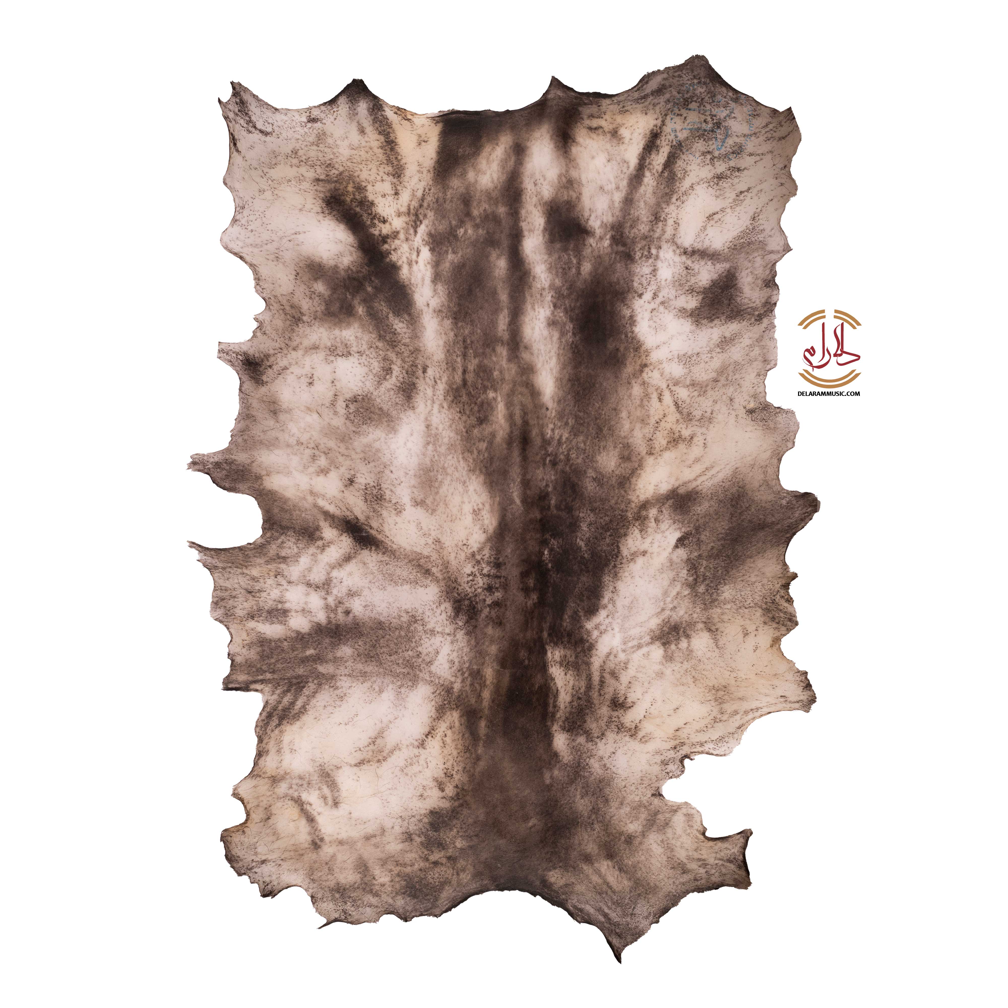 پوست تار طبیعی بره تودلی