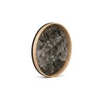 دف  پادوک ترکه ای - Image 2