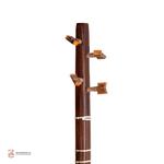 سه تار حیدری - Image 4