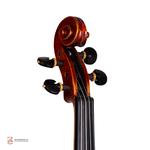 ویولن فونیکس مدل OVT206E - Image 4