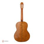 گیتارریچاردبونل مدل 825 - Image 3