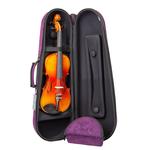 هاردکیس ویولن دیماکیس - Image 4