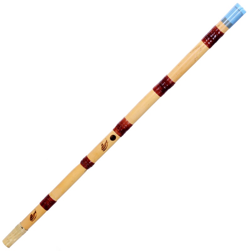 نی نبی الهی