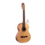 گیتار کلاسیک پارسی مدل D3