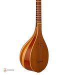 سه تار ذوالقدر سرپنجه طاووسی - Image 3