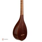 سه تار عظیمی وسط دسته استخوان سرپنجه سنتی - Image 3