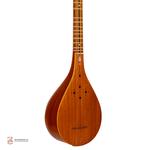 سه تار مسعود( الگو استادهاشمی) - Image 2