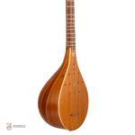 سه تار مسعود( الگو استاد کمالیان) - Image 3