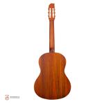 گیتار آدور مدل A20 - Image 2