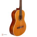 گیتار آدور مدل A20 - Image 3