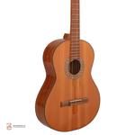 گیتار کلاسیک پارسی مدل M8 - Image 3