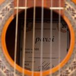 گیتار کلاسیک پارسی مدل M8 - Image 5