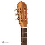 گیتار متاع پور مدل Mat 3 - Image 3