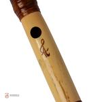 نی پارسا - Image 2