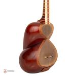 تار داریوش یک مهر - Image 4