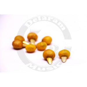 مضراب تار نوروزیان