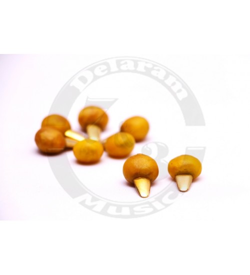 مضراب تار نوروزیان - Image 1