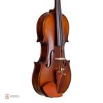 ویولن فونیکس مدل OVZ 106E سایز 4/4 - Image 2