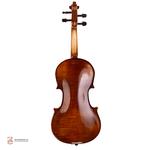 ویولن فونیکس مدل MVP101H سایز 4/4 - Image 2
