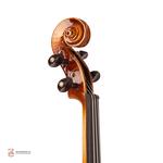 ویولن فونیکس مدل MVP101H سایز 4/4 - Image 3