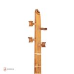 سه تار نوا گردو - Image 3