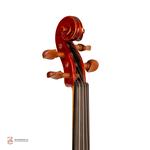 ویولن فونیکس مدل OVS 101 سایز 4/4 - Image 9