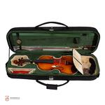 ویولن فونیکس مدل OVD 101 سایز 4/4 - Image 3