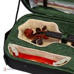 ویولن فونیکس مدل OVD 101 سایز 4/4 - Image 4