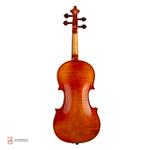 ویولن فونیکس مدل OVD 101 سایز 4/4 - Image 6