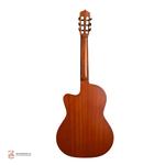 گیتار کلاسیک پارسی مدل M5 کات وی - Image 2