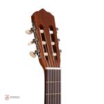 گیتار کلاسیک پارسی مدل M3 - Image 3