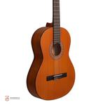 گیتار کلاسیک پارسی مدل M3 - Image 4