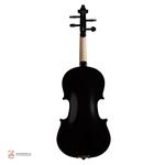 ویولن مولر مدل 300 مشکی - Image 3