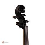 ویولن مولر مدل 300 مشکی - Image 4