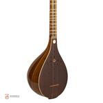 سه تار محمدی الگو هاشمی ویژه - Image 3