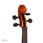 ویولن فونیکس مدل OVP206 E سایز1/4 - Image 3