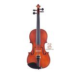 ویولن مولر مدل 300 سایز 2/4