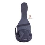 هاردکیس گیتار