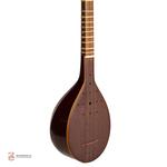 سه تار مسعود - Image 3