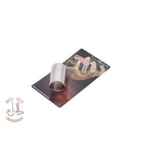 اسلاید گیتار آلیس