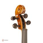 ویولن فونیکس MVP201 E 4/4 - Image 6