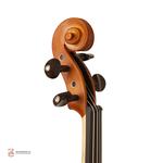 ویولن فونیکس MVP101 E 4/4 - Image 2
