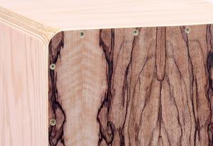 کاخن پاکو مدل مستر طرح حافظ - Image 2