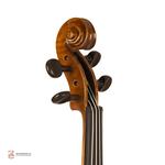 ویولن فونیکس MVZ301 E 4/4 - Image 2