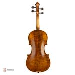 ویولن فونیکس MVZ301 E 4/4 - Image 5