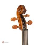 ویولن فونیکس OVP206 E 2/4  - Image 5