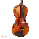 ویولن فونیکس OVP206 E 4/4 - Image 5