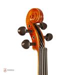 ویولن فونیکس OVP206 E 4/4 - Image 6