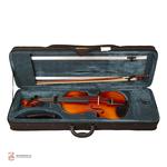 ویولن فونیکس OVP206 E 4/4 - Image 7